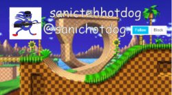 Sanictehhotdog announcement Meme Template