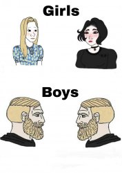 Boys Vs Girls actual Meme Template