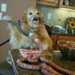 Dog making Sausage Meme Template