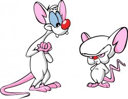 white background pinky and the brain Meme Template
