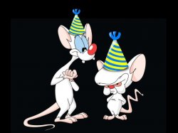 Pinky and the Brain birthday hats Meme Template