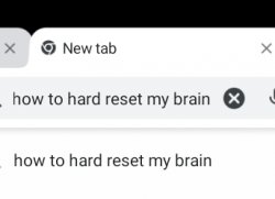 How to hard reset brain Meme Template