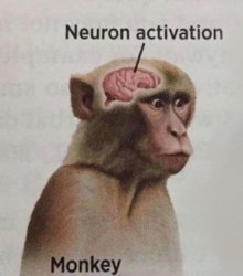 Neuron Activation Monkey Meme Template