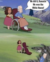 Kamila pushing Biden over cliff Meme Template