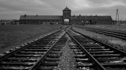 Auschwitz Meme Template