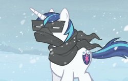 Shining Armor My Little Pony Meme Template