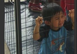 kids in cages Meme Template