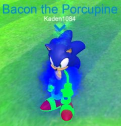 bacon the porcupine Meme Template
