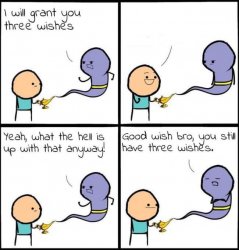 I will grant you three wishes Meme Template