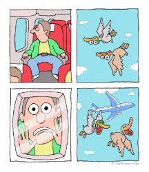 prank bords Meme Template