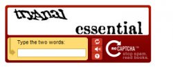 Actual NSFW Captcha from 2012-11-29 Meme Template