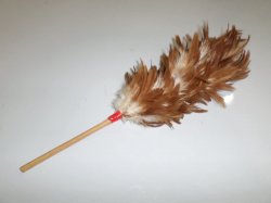 Chicken feather duster Meme Template