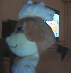 Drip Growlithe Meme Template