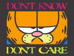 Garfield don’t know don’t care Meme Template