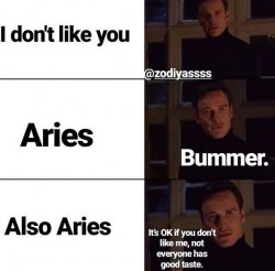 Aries stuff from printest Meme Template