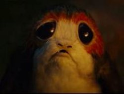 Sad Porg Meme Template