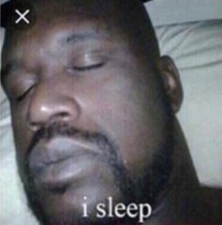 I Sleep (Shaq) Meme Template