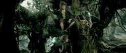 Pippin, Merry and Treebeard Meme Template