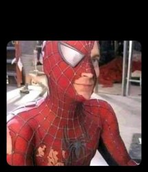 Spider man torn costume Meme Template