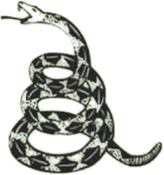 Don't Tread on Me Snake Tattoo Meme Template