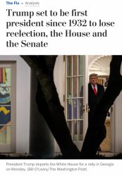 Trump loses everything Meme Template
