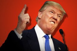 Donald Meme Template