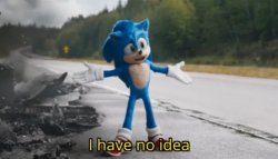 Sonic I have no idea Meme Template