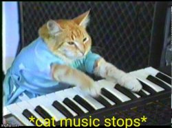 *cat music stops* Meme Template