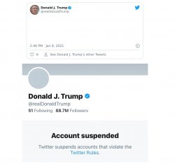 Trump Twitter Account Suspended Meme Template