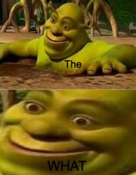 The what but Shrek Meme Template