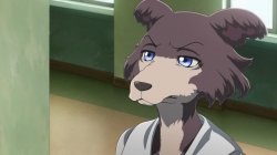 disappointed Juno (beastars) Meme Template