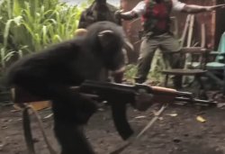 monki keleş Meme Template