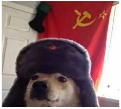 Comunism doggo Meme Template