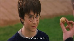the golden snitch Meme Template