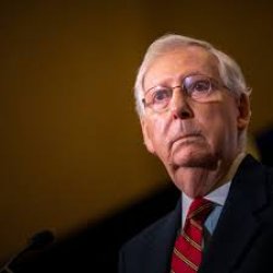 Turtle McConnell Meme Template