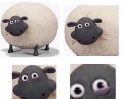 Sheep With Half Closed Eye Meme Template