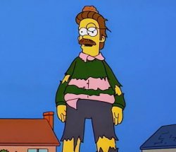 Ned Flanders Meme Template