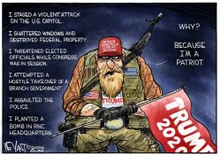 Patriot cartoon Meme Template