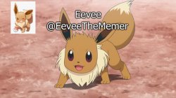 Eevee announcement Meme Template