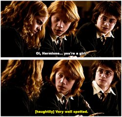 hermione you're a girl Meme Template