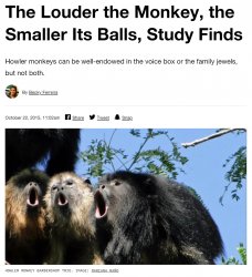 The louder the monkey the smaller its balls Meme Template