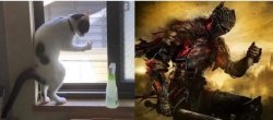 Souls of Cinder Meme Template
