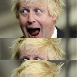 Boris Johnson hair Meme Template