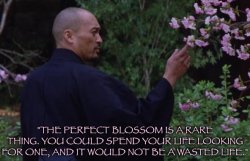 Last Samurai Katsumoto perfect blossom Meme Template