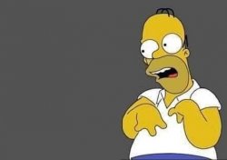 Homer Simpsons dumb face Meme Template
