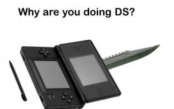 Why Are You Doing DS? Meme Template