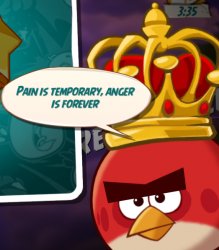 Pain is temporary, Anger is forever Meme Template