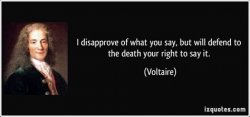 Voltaire Meme Template