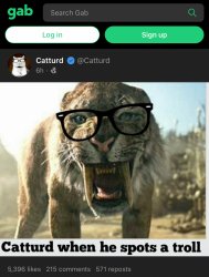 Gab Catturd Meme Template