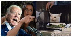 Biden Yelling at Cat Meme Template